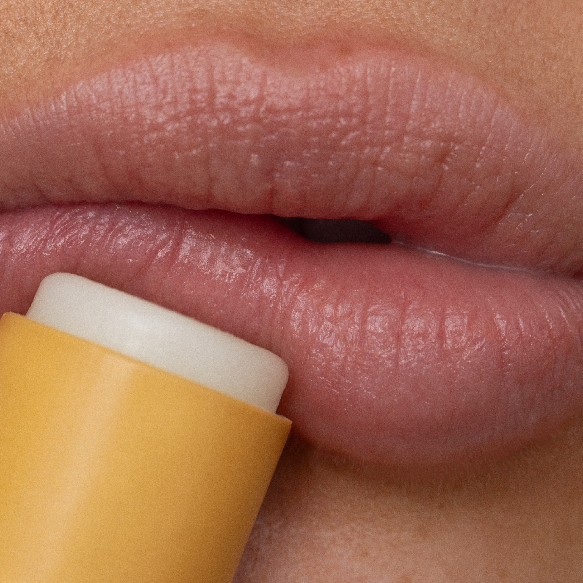 Poppy & Pout | Lip Balm- Wild Honey