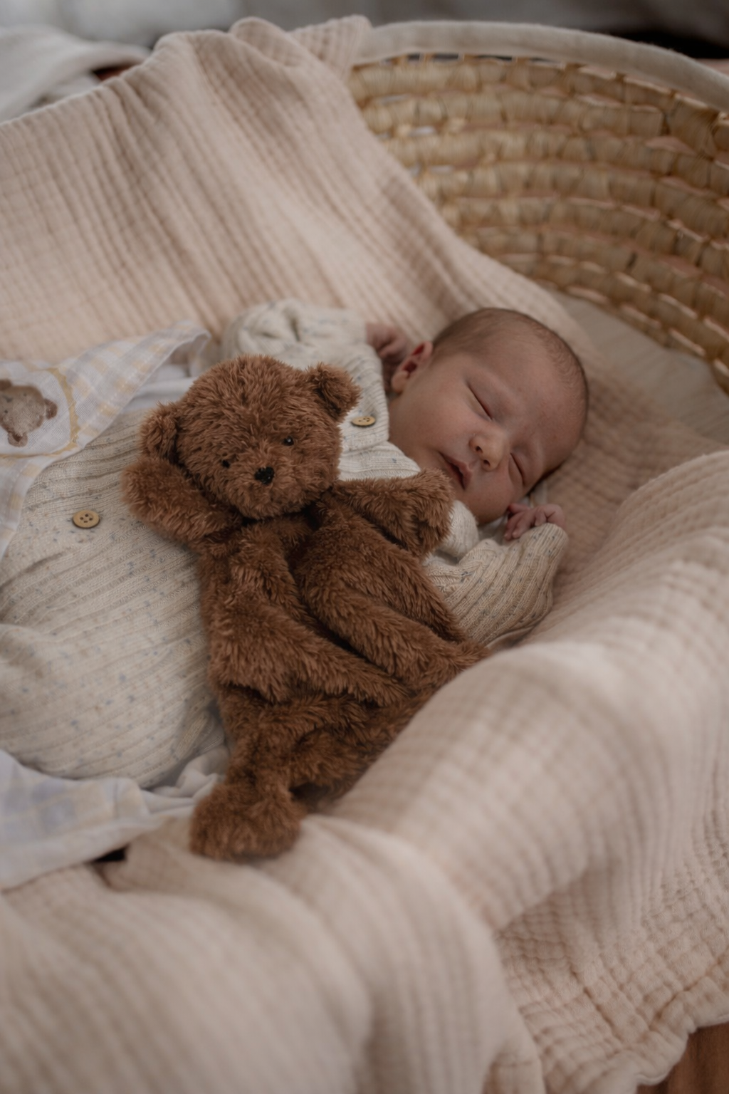 Pop Ya Tot | Little Ted Comforter Toy