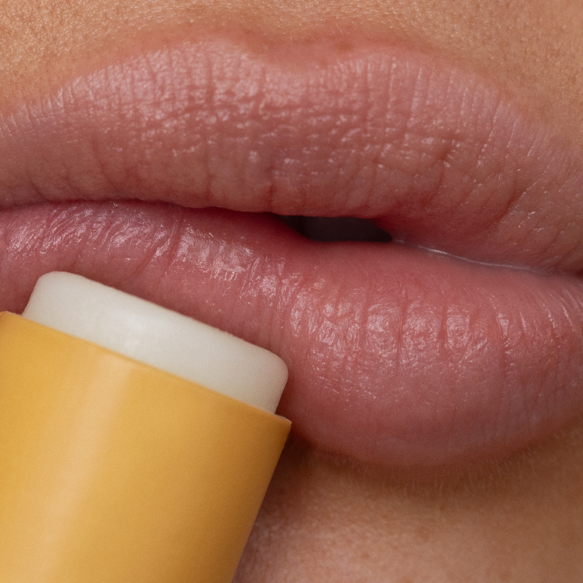 Poppy & Pout | Lip Care Duo- Lemon Bloom