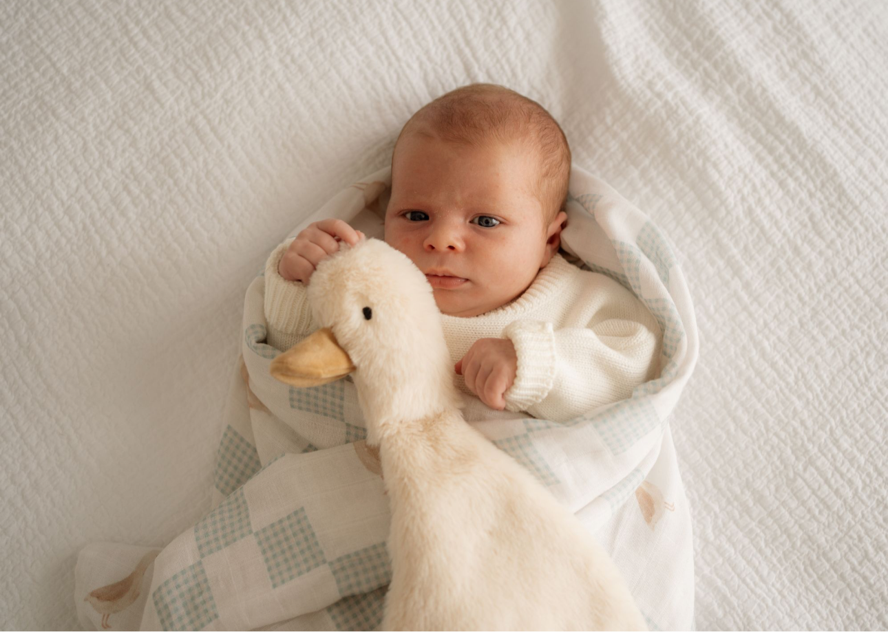 Pop Ya Tot | Waddles the Goose Comforter Toy