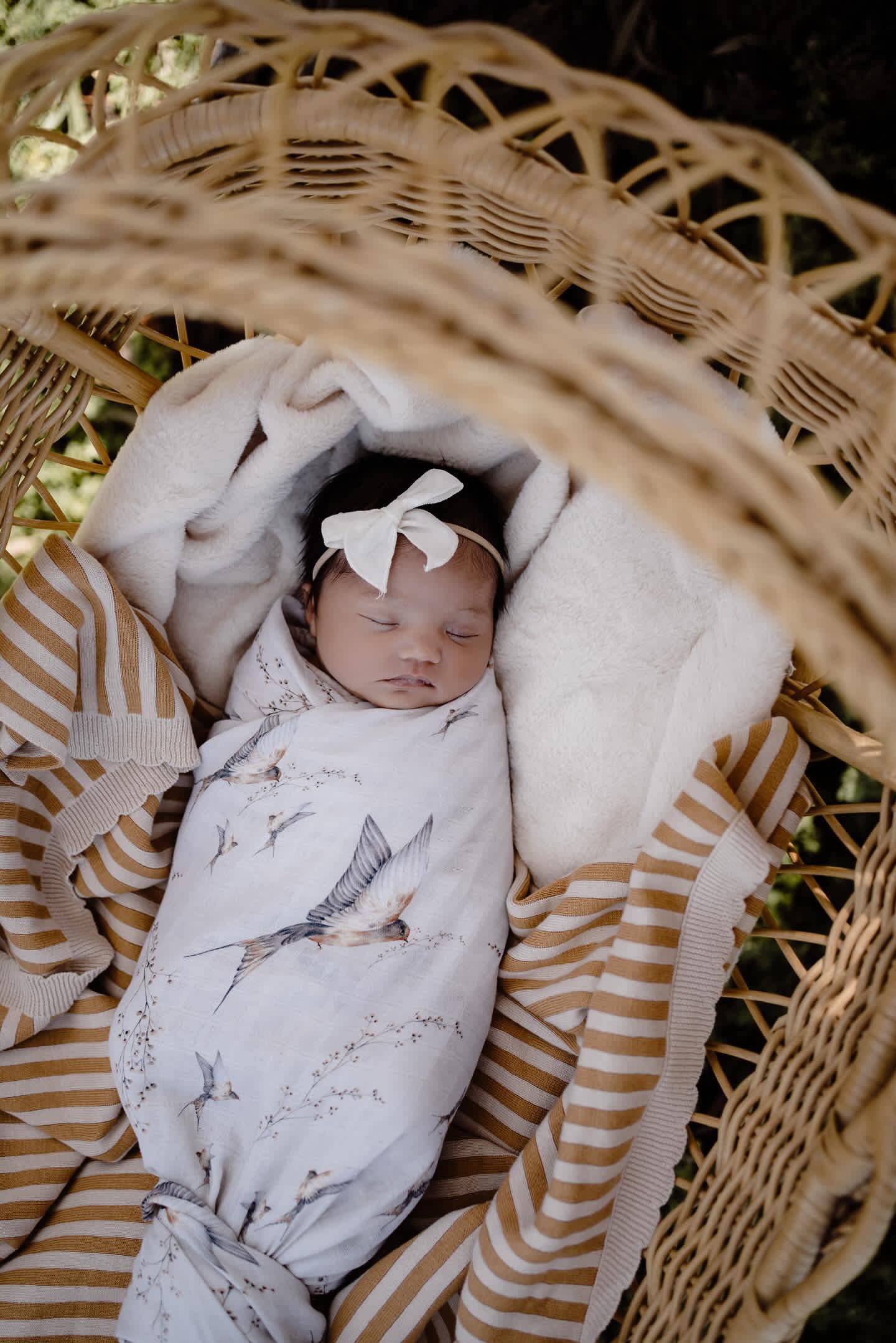 Pop Ya Tot | Nightingale Swaddle