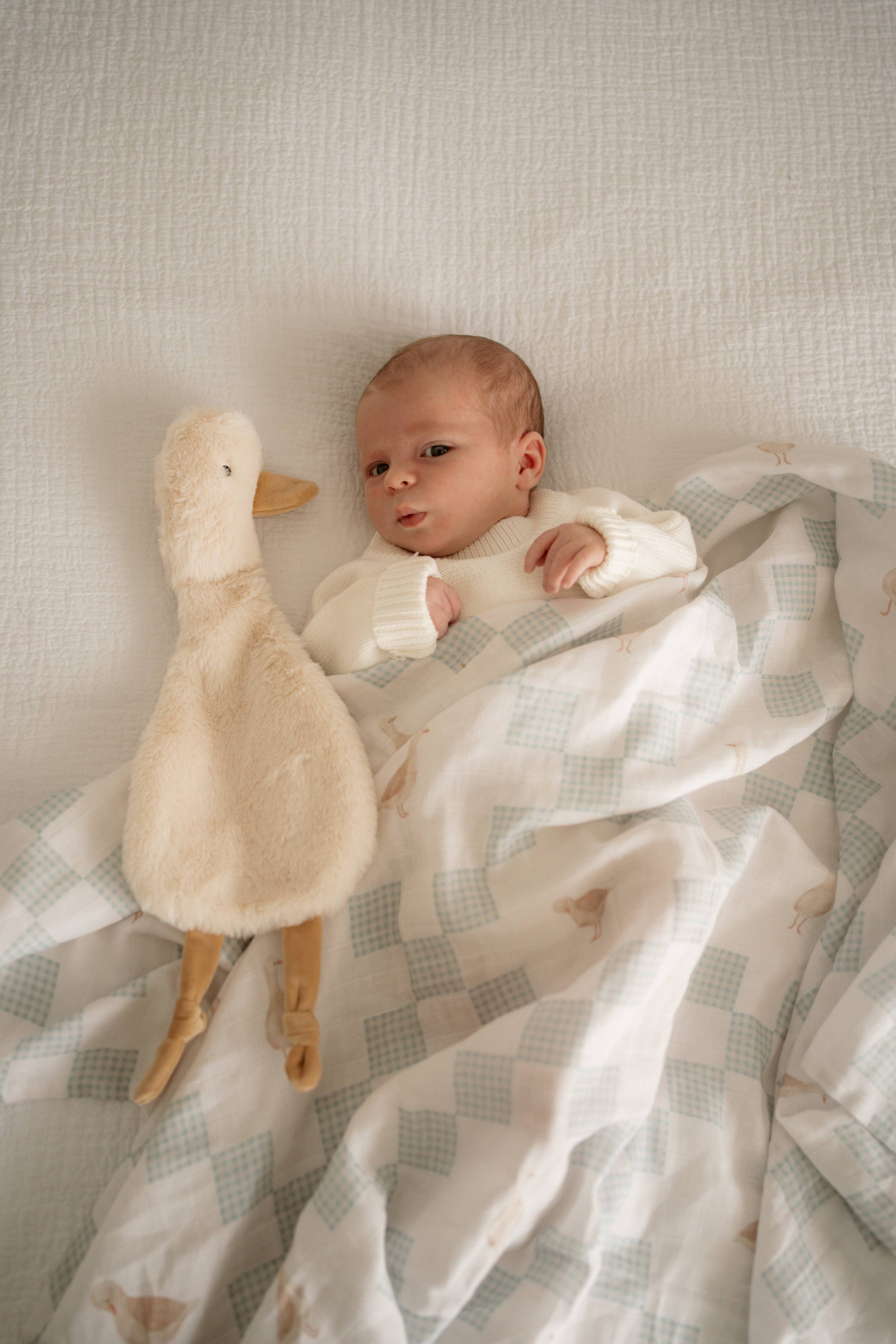 Pop Ya Tot | Waddles the Goose Comforter Toy