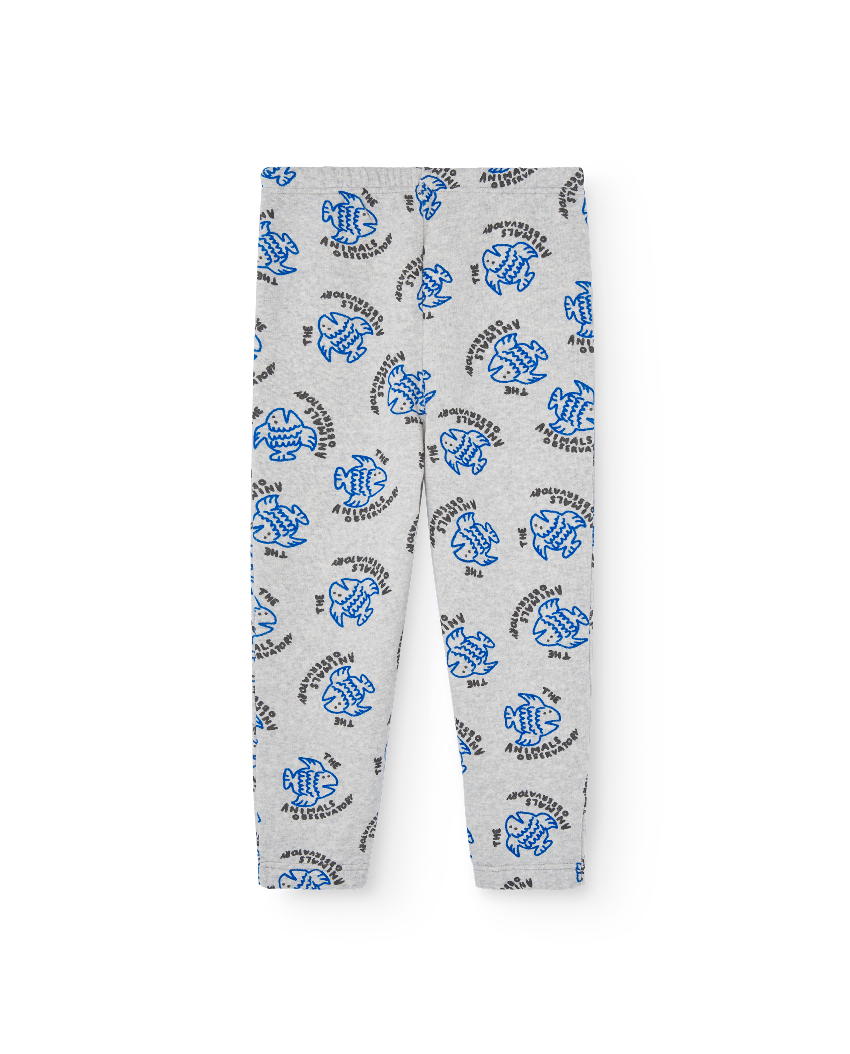 The Animals Observatory | The Dromedary Pants - Fish