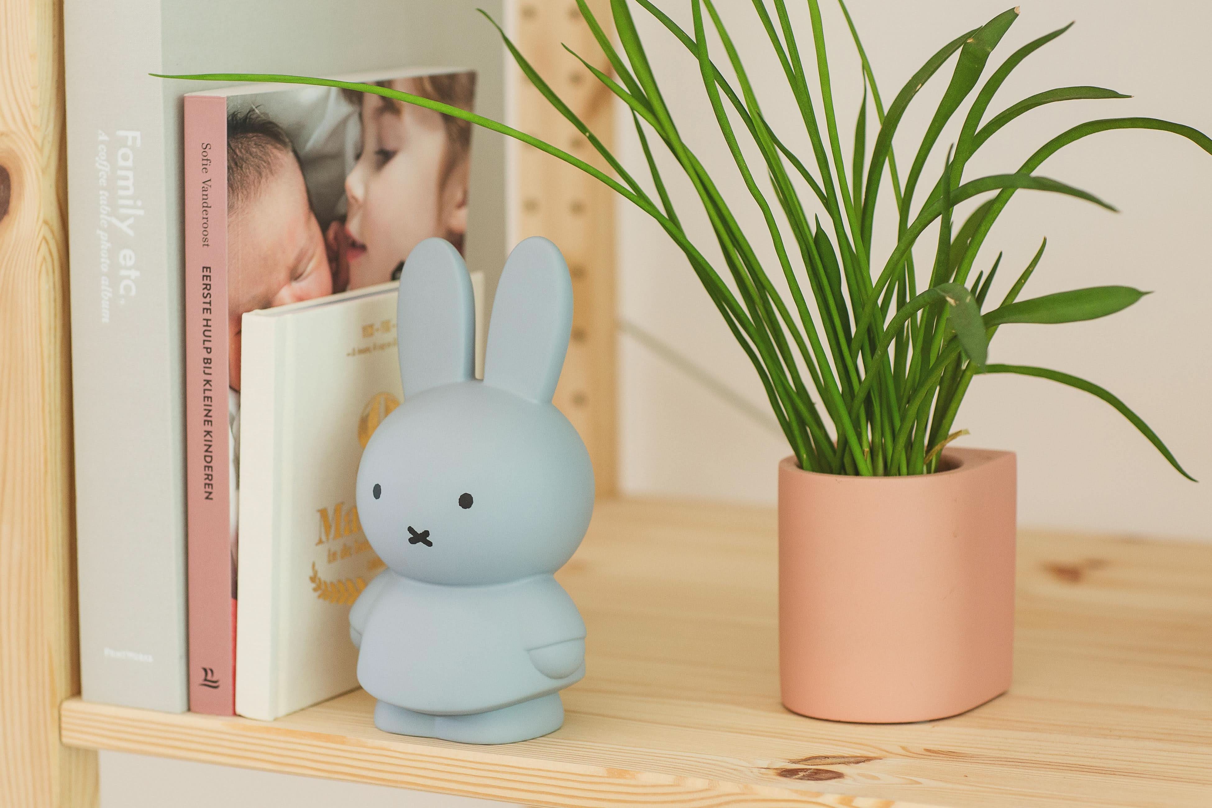 Miffy X Atelier Pierre | Money Box - Blue