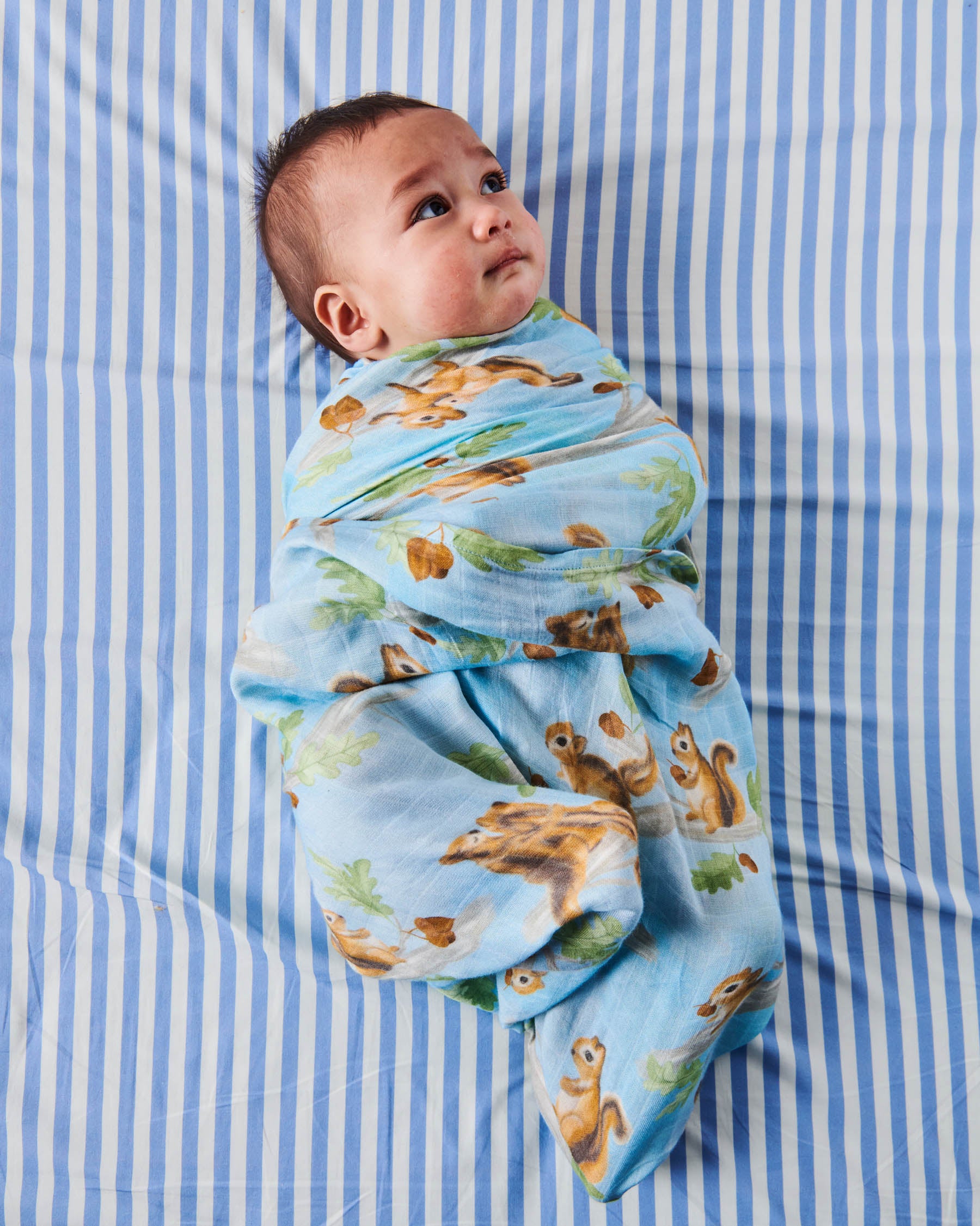 Kip & Co BABY | Squirrel Scurry Bamboo Swaddle
