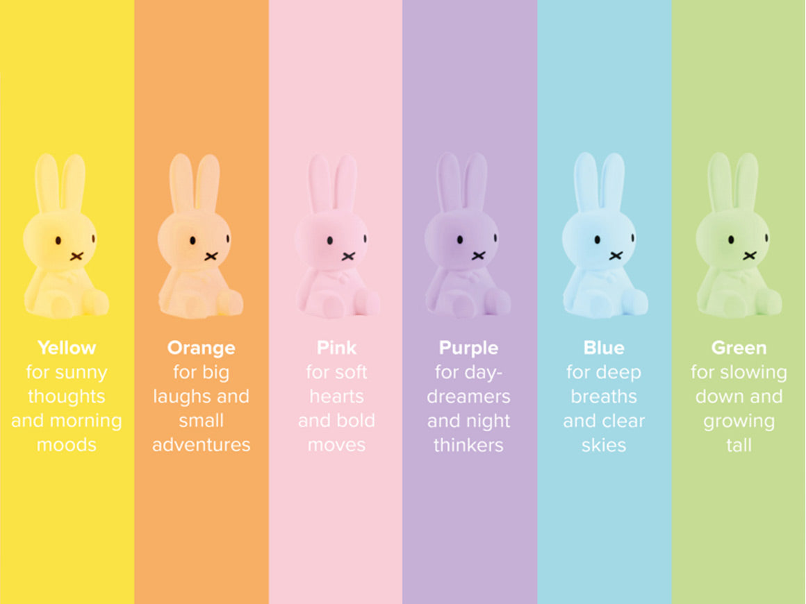 Miffy | Miffy Colourful Surprise Collection- blind box