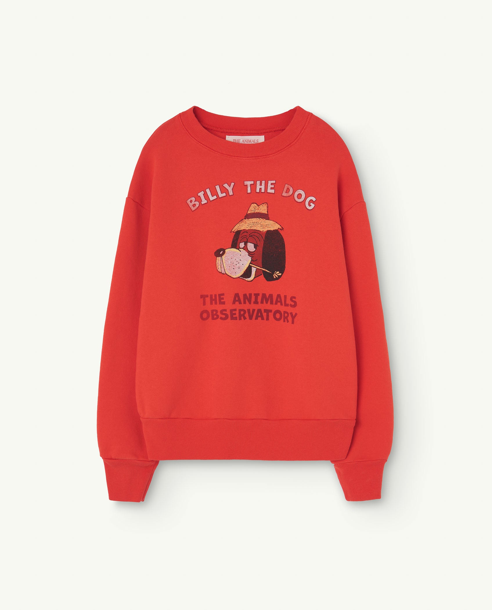 NEW The Animals Observatory | The Billy de Dog Bear Sweatshirt- Red