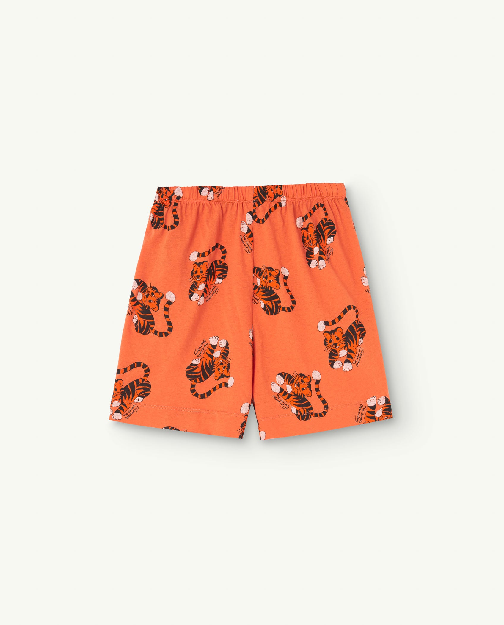 NEW The Animals Observatory | The Tiger Mole Shorts
