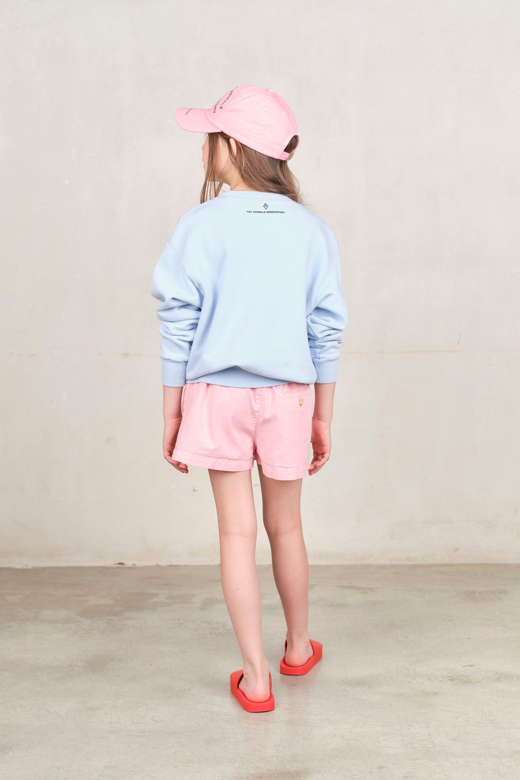 The Animals Observatory | Soft Blue Comic Bear Sweatshirt SS25