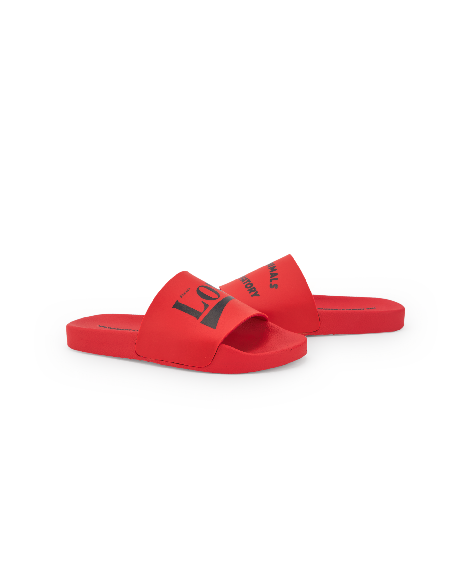 The Animals Observatory | Flip-Floops Kids Shoes SS25