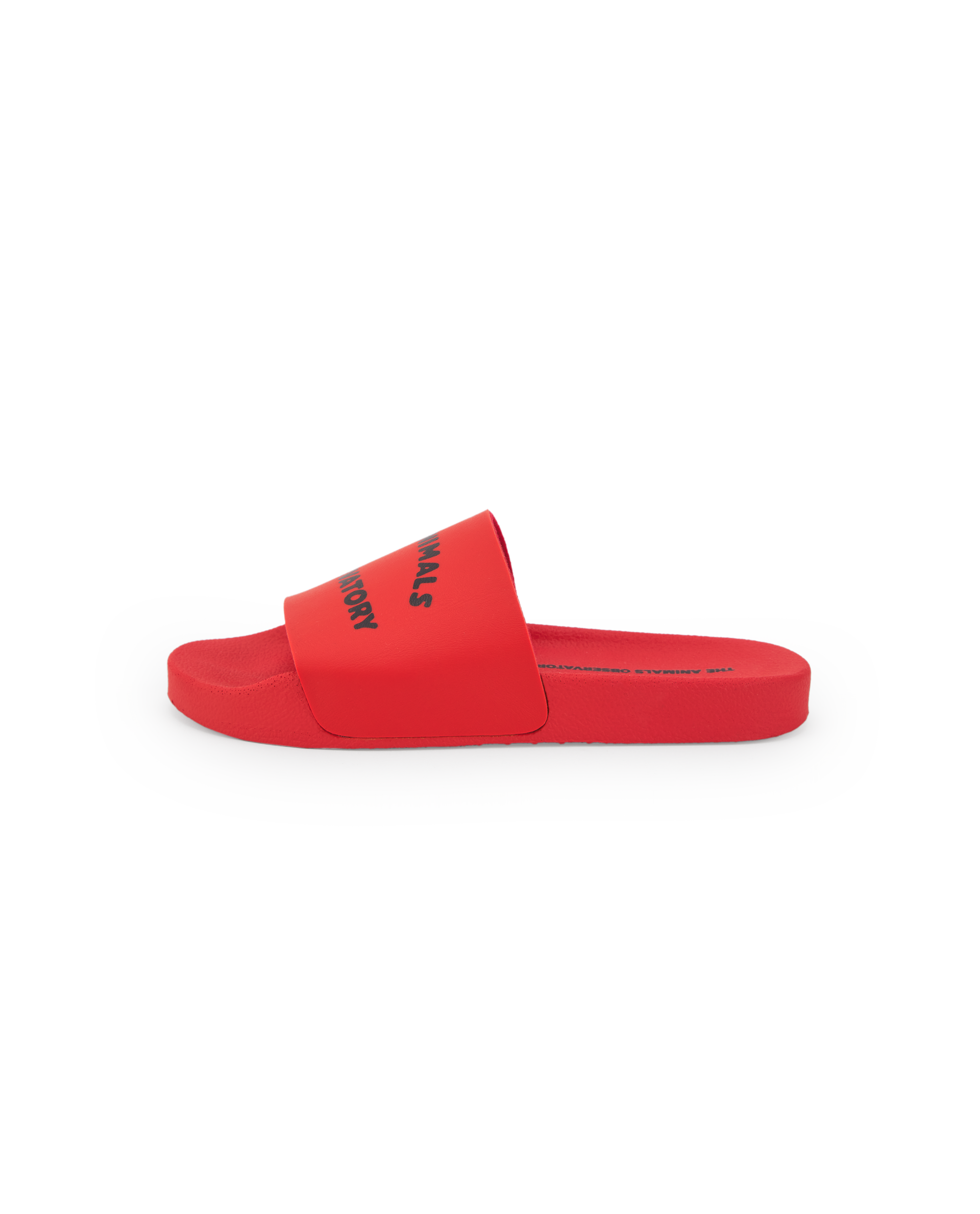 The Animals Observatory | Flip-Floops Kids Shoes SS25
