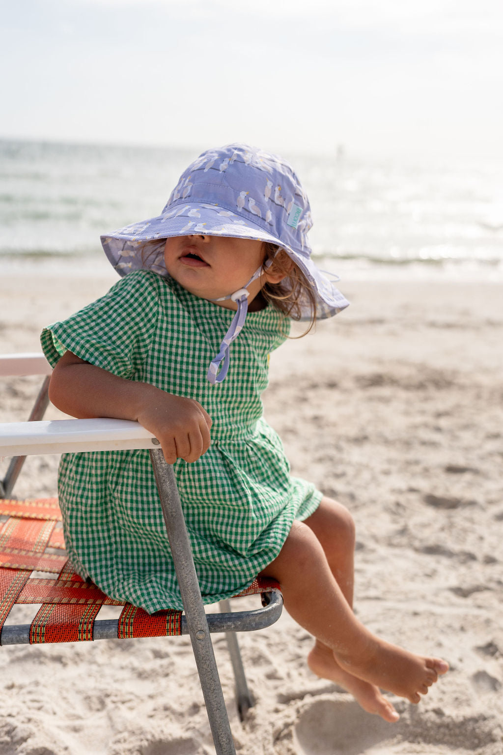 Acorn | Cockatoo Wide Brim Hat