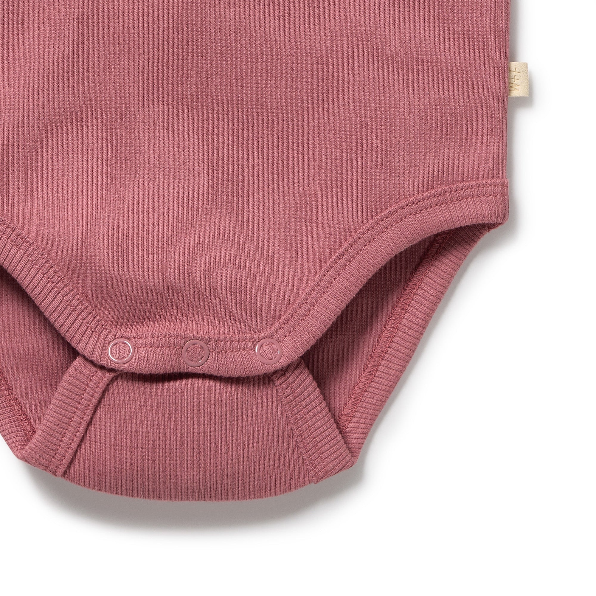 Wilson & Frenchy | Plum Organic Rib Long Sleeved Bodysuit