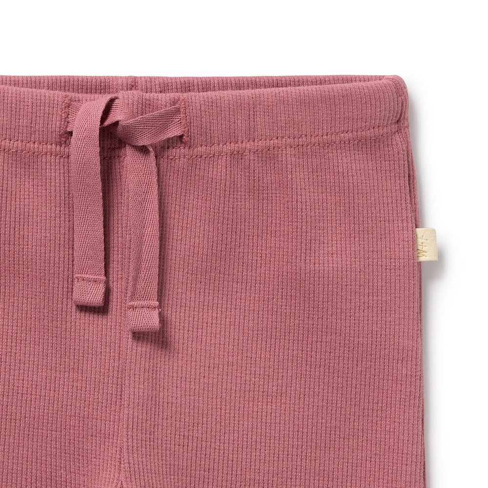 Wilson & Frenchy | Plum Organic Rib Legging