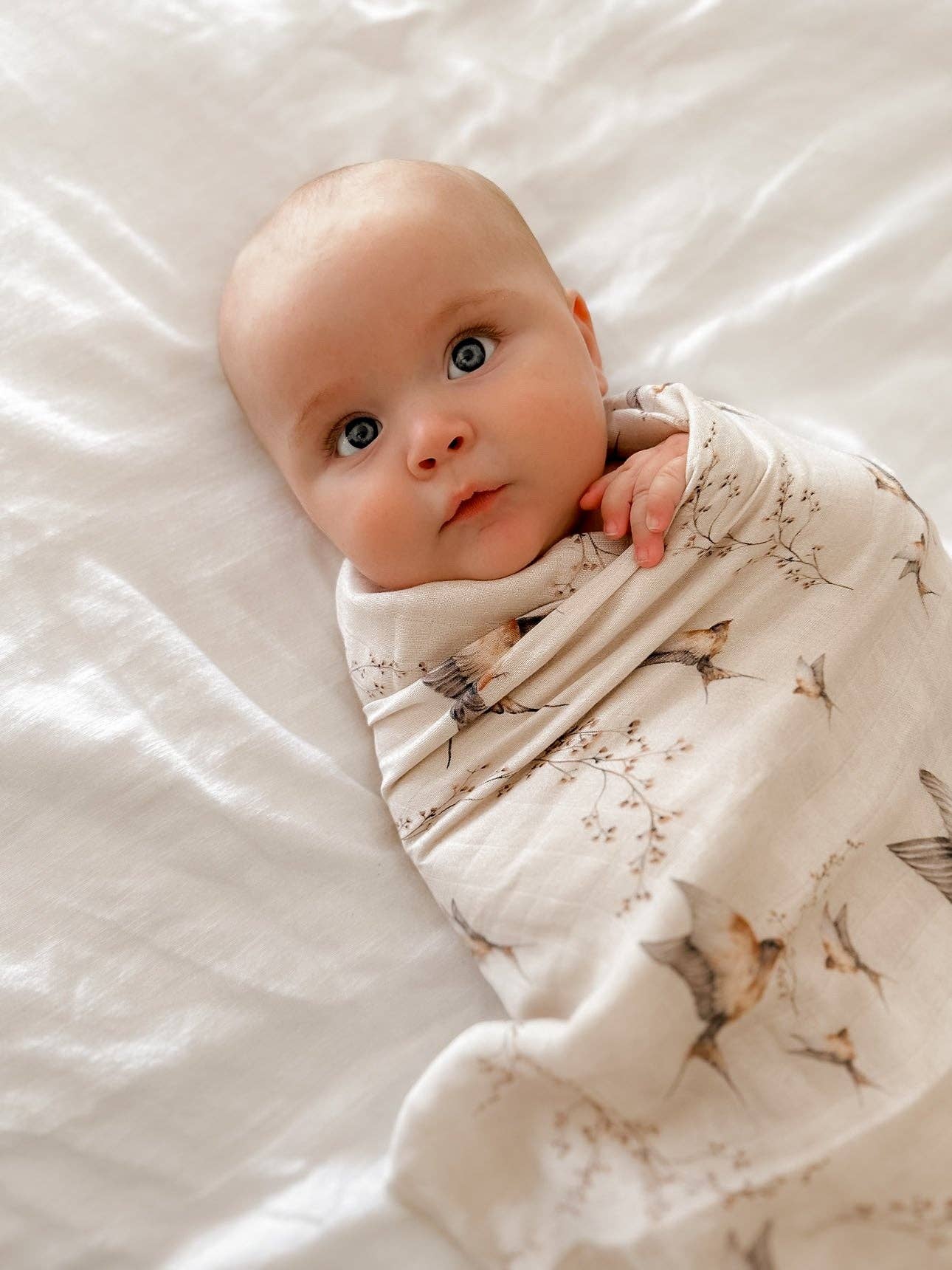 Pop Ya Tot | Nightingale Swaddle
