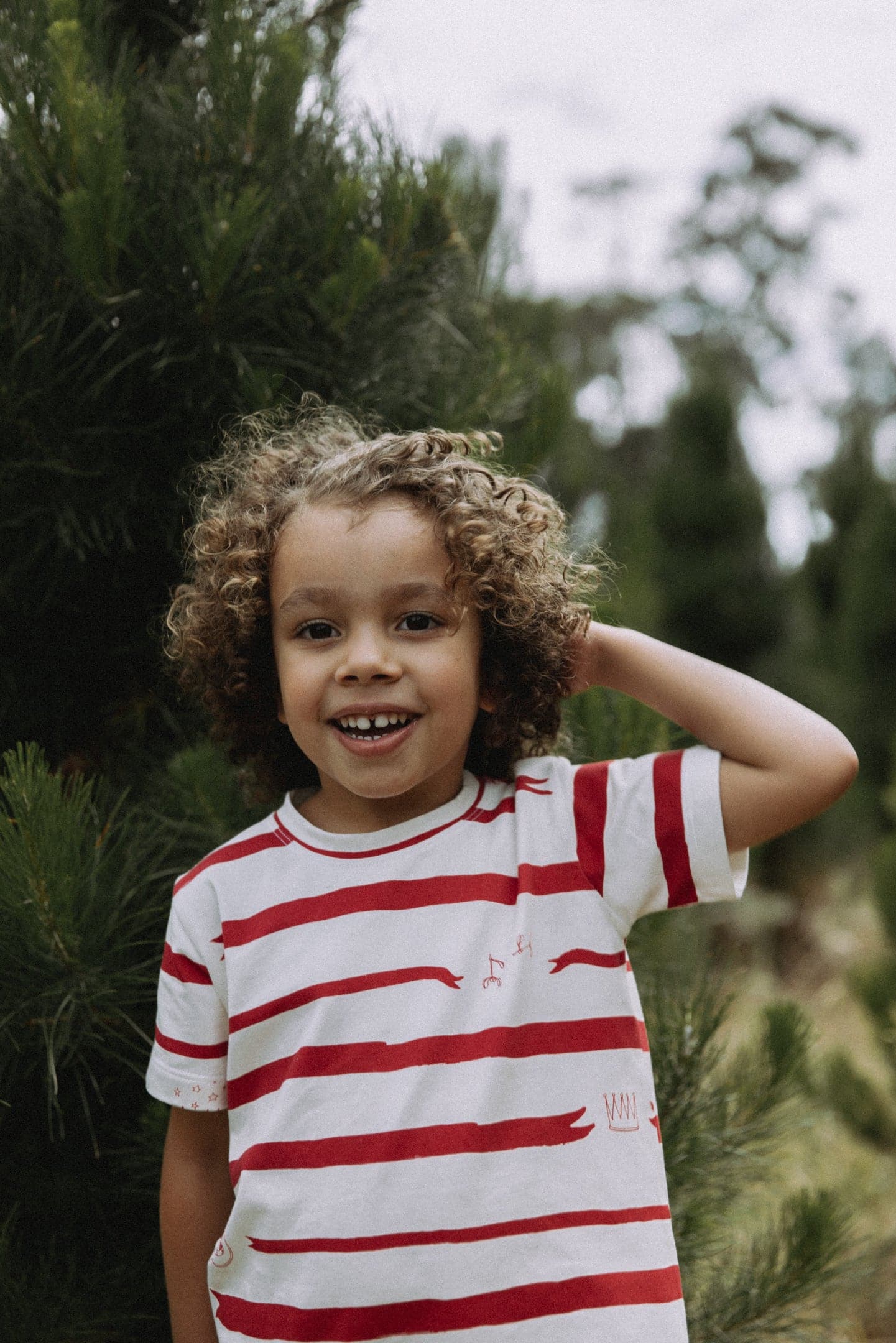 G Nancy | Vanilla Nutcracker Christmas Shortie