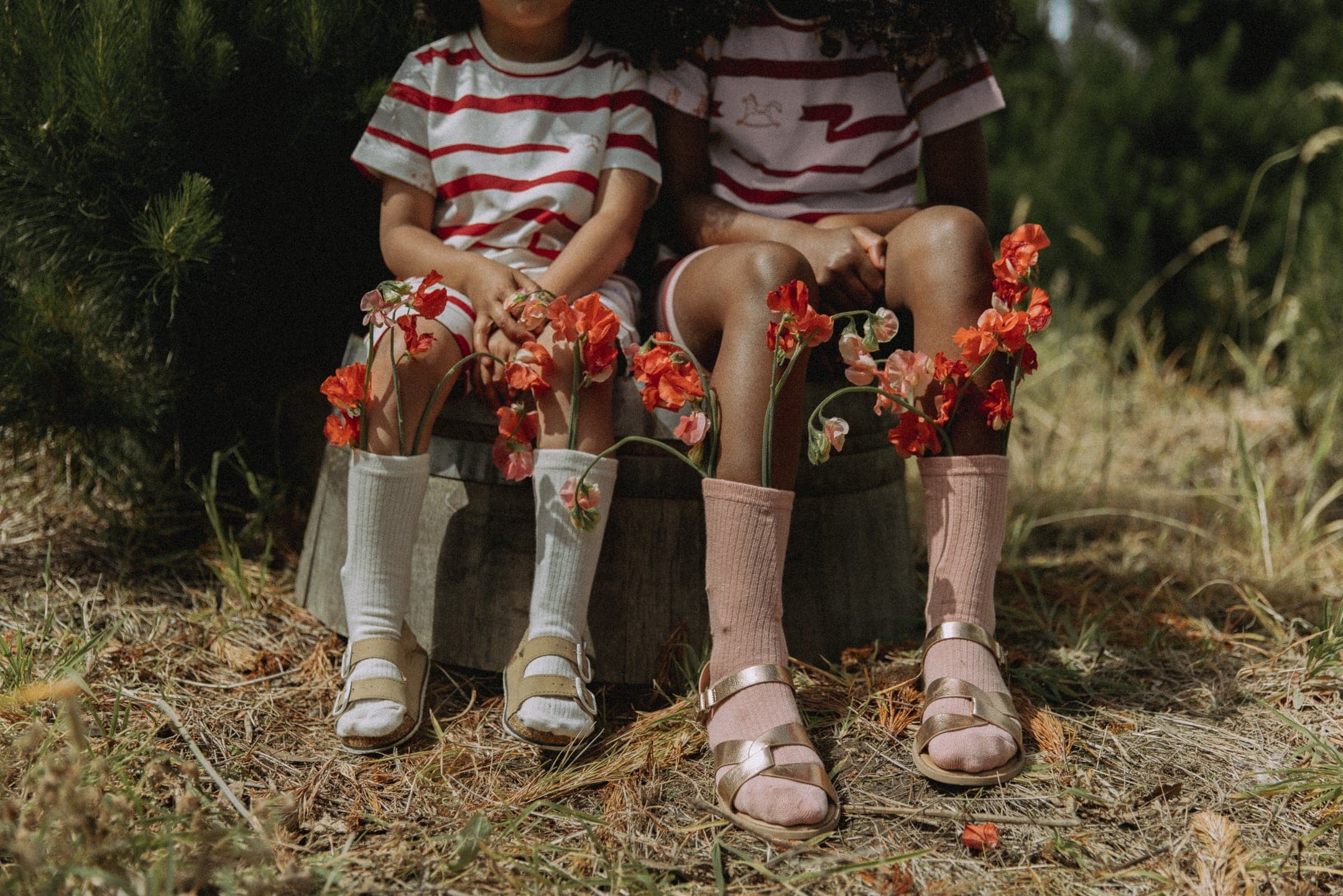 G Nancy | Rose Nutcracker Christmas Shortie