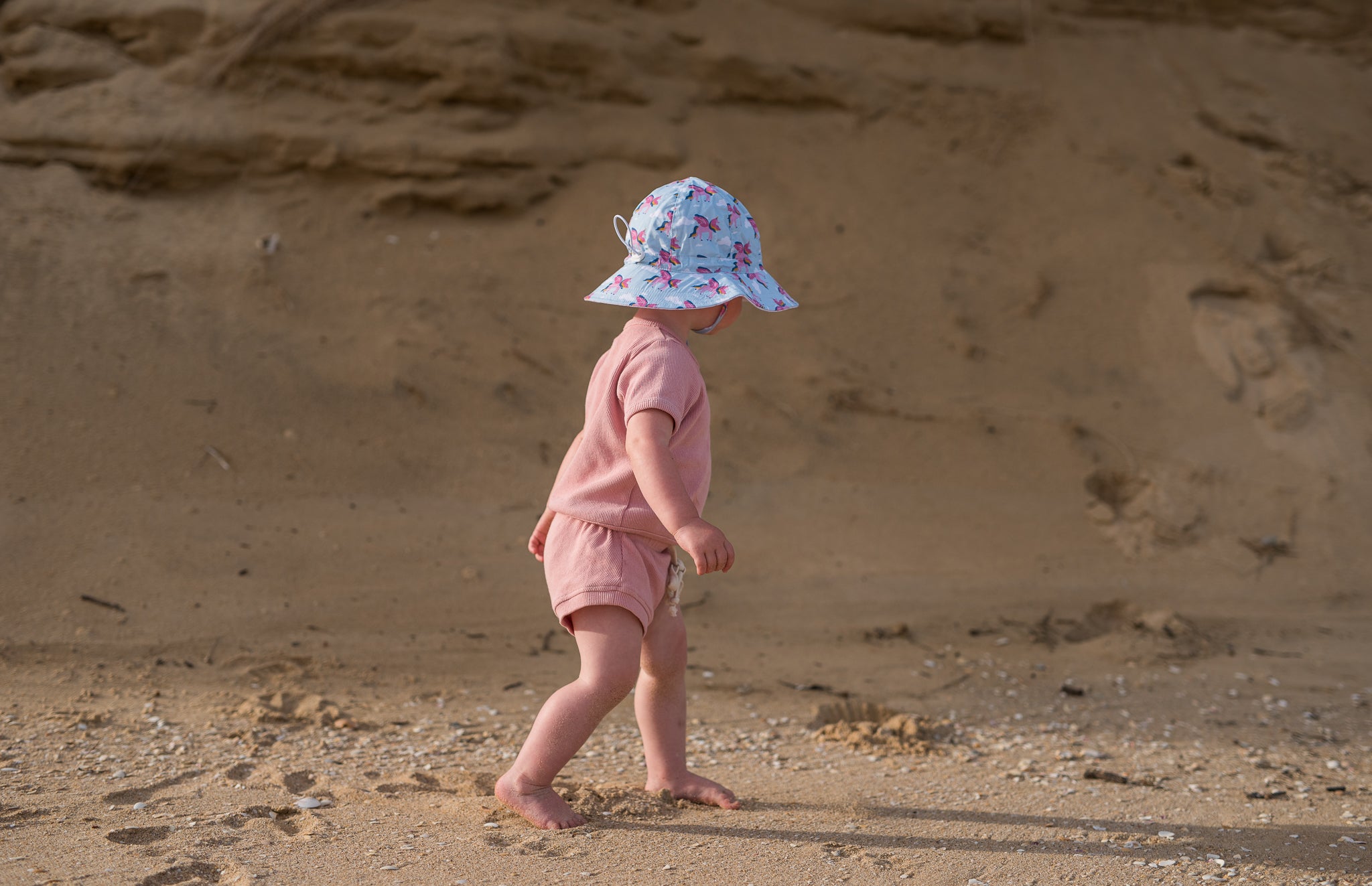 Acorn | Pegasus Floppy Hat